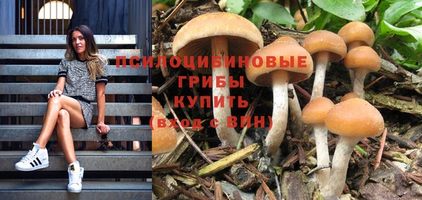 тгк Алексеевка