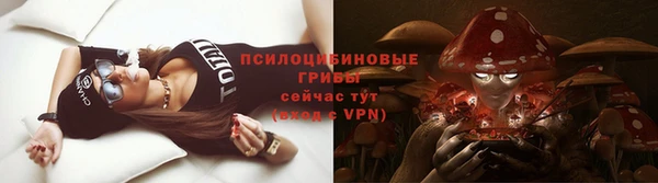 spice Алзамай
