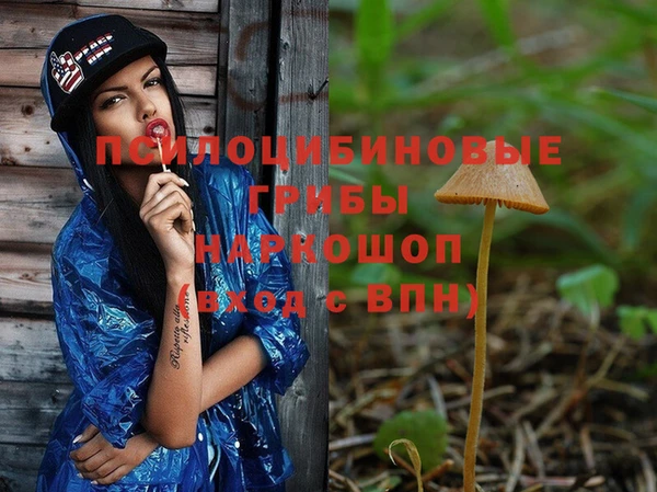 кокс Липки