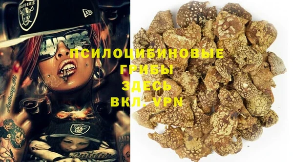 spice Алзамай