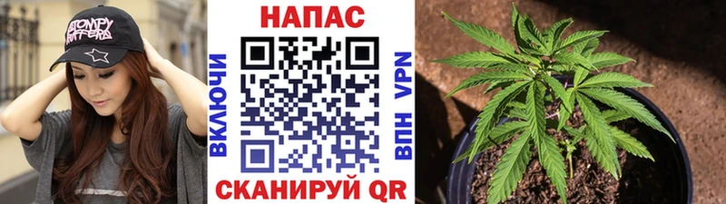 закладки  Волгодонск  Конопля MAZAR 
